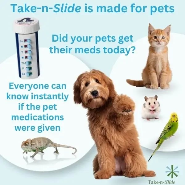 💊Reusable Medication Tracker For Pill, Vitamin & Pet Bottles, Prevent Missed Doses(2PCS)