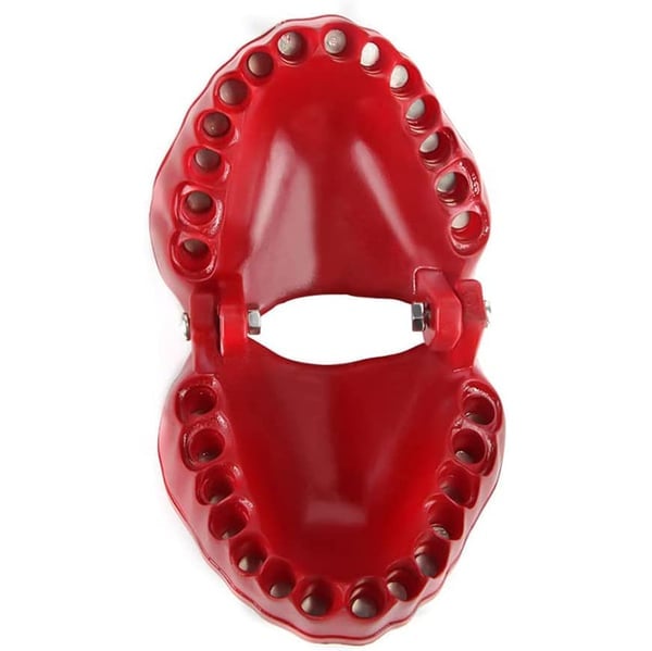 🧰Denture Drill Bit Holder