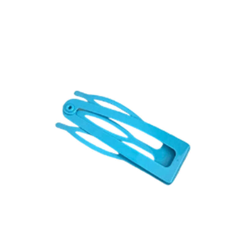 🔥Minimalist BB Snap Hair Clip for Women (10PCS)