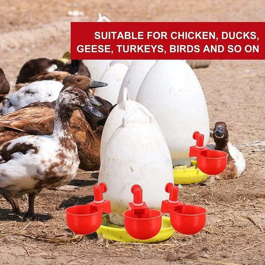 Automatic Poultry Water Bowl